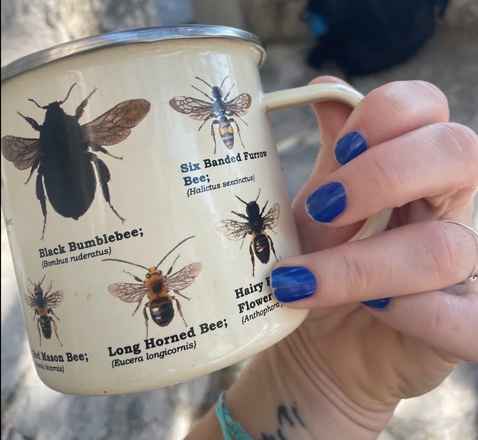 Hairy and Long Horned Bee
