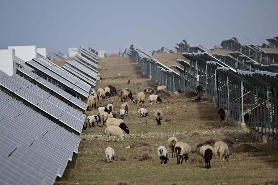 Qinghai: the world's largest solar farm, built from seven million panels