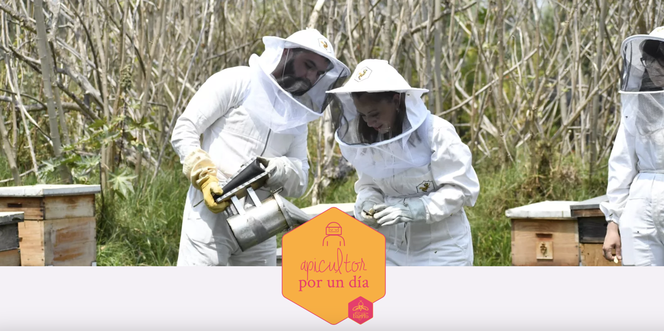 Beekeeper for a day: learning while on vacation