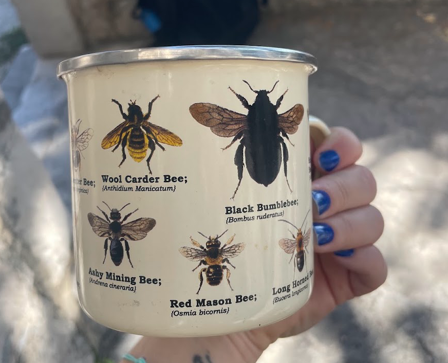 Wool Carder Bee and Ashy Mining Bee