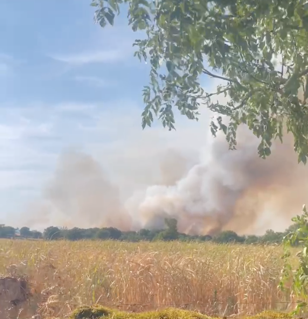 France Under Extreme Heat: What This Summer Reveals About the Future of Energy