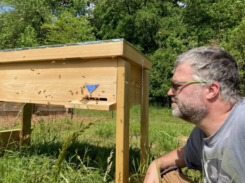 Bee veterinarians: learning to care for the colonies that feed us