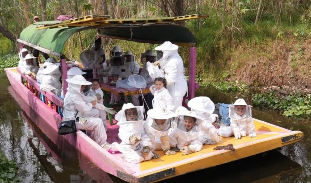 "Family day: away from screens, closer to nature" is the invitation of Abejas de Barrio in México