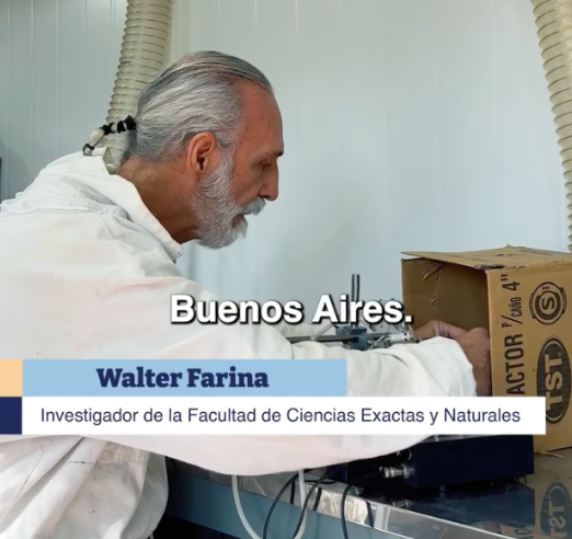 Teaching Bees to Choose the Right Bloom: How Argentina Is Directing Pollinators Towards Priority Crops