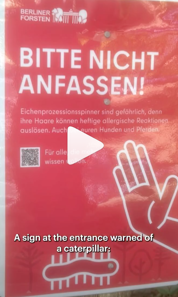 Park entrance warning in Berlin: be aware of caterpillar plague