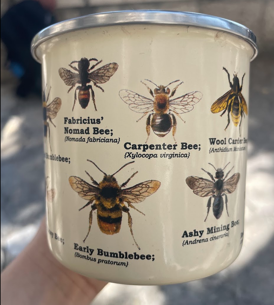 Nomad Bee and Carpenter Bee